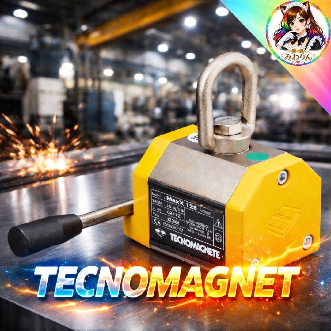 未使用 TECNOMAGNET MAXX125 磁気リフター 125kg 工場用